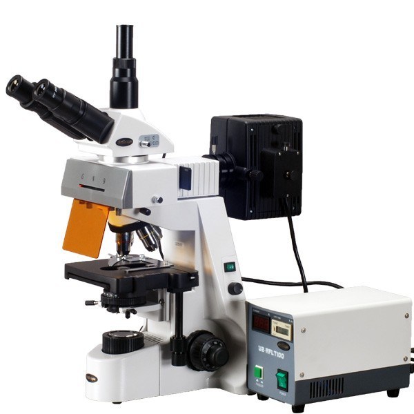 fm690t-microscope_1.jpg