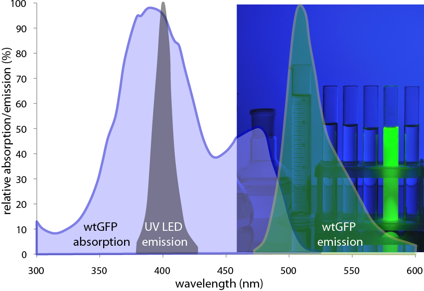 GFP.excitation1 (2).png