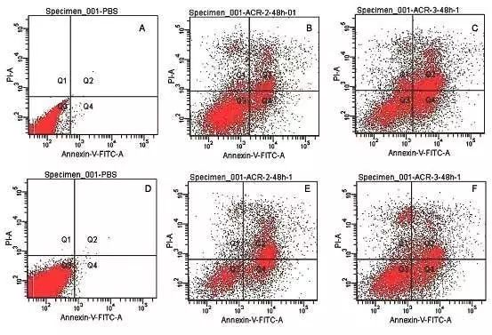 流式细胞仪观察细胞凋亡和坏死