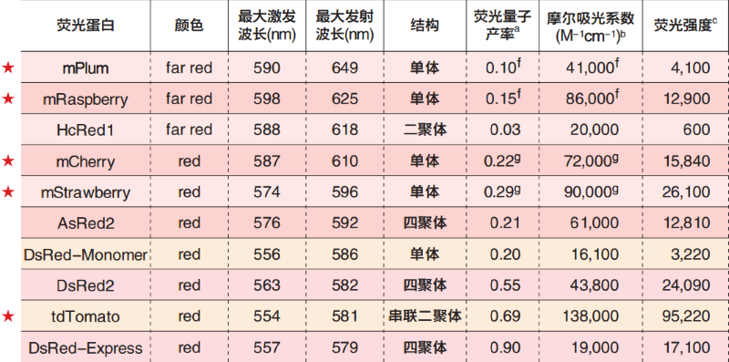 红色荧光蛋白的激发波长