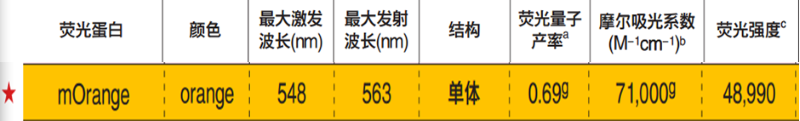 橙色荧光蛋白的激发波长