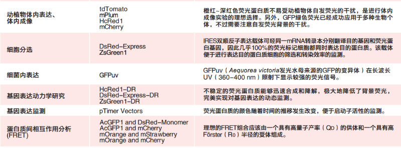 荧光蛋白的应用