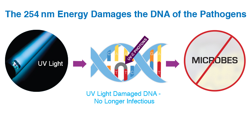 uv-disinfection-graphics-1.jpg