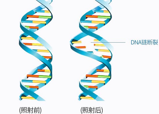 紫外灯253.7nm紫外线辐射功率、电气特性的测量方法