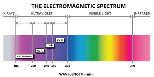 horticulture-cannabis-Light-Spectrum.png