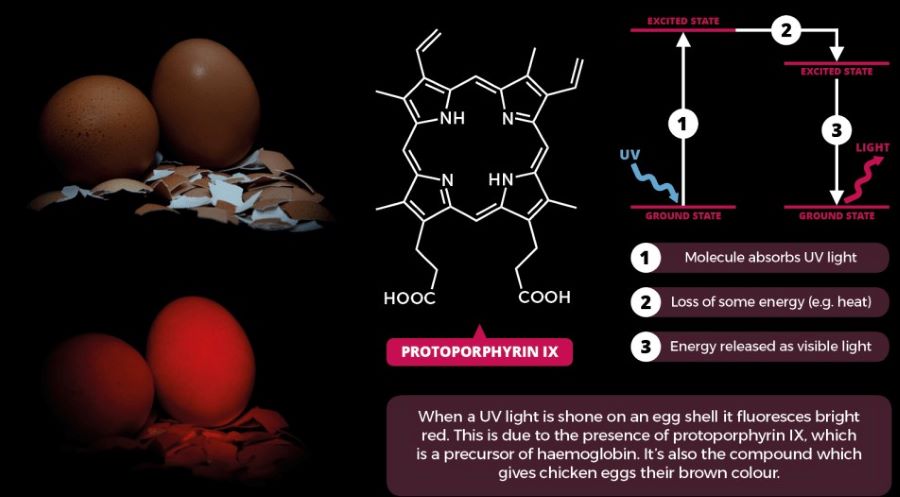 鸡蛋发出荧光原理